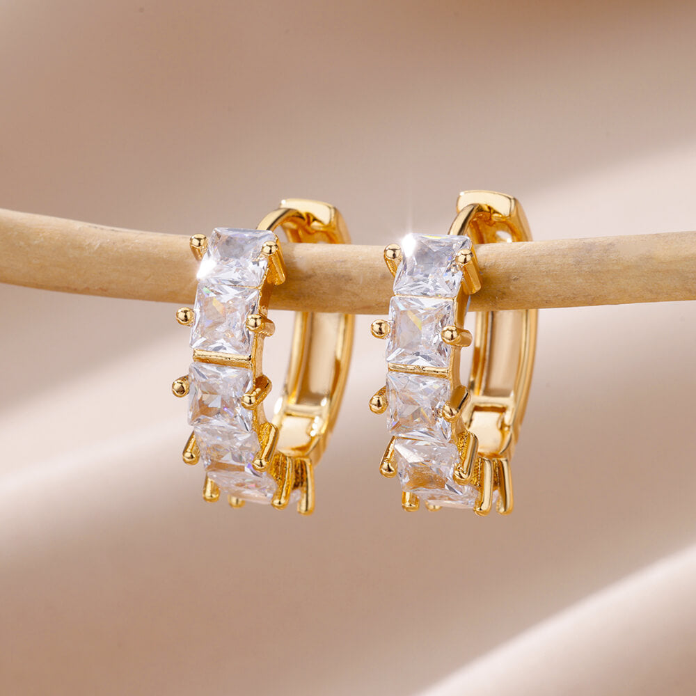 Crystal Crown Hoops Earrings
